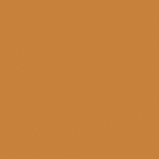 ДСП Swisspan 0242 PE Апельсин, 2750х1830х16 ДСП Swisspan 0242 PE Апельсин, 2750х1830х16
