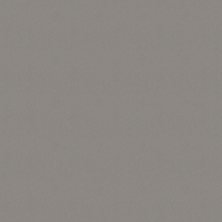 Стільниця Egger F502 ST2 Алюміній Дрібноматований, 4100х1200х38 Стільниця Egger F502 ST2 Алюміній Дрібноматований, 4100х1200х38